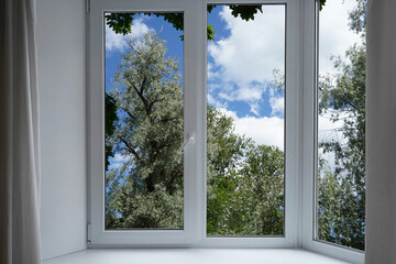 View through a  window of a forest, a park with green and silver willow trees.   
