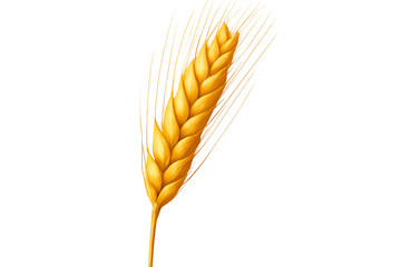 Golden wheat stalk isolated on transparent background