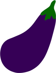 vector illustration of purple eggplant
