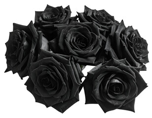 Elegant black roses arranged in a captivating bouquet evoke a sense of mystery and sophistication.