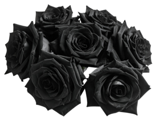 Elegant black roses arranged in a captivating bouquet evoke a sense of mystery and sophistication.