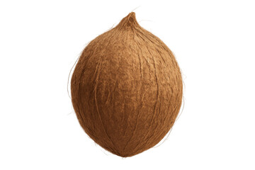 Whole coconut rotating on transparent background showing its fibrous surface