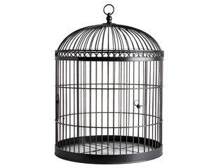 A beautifully crafted dark metal birdcage with a classic domed design and a small functional door.