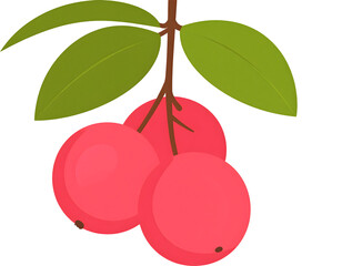 A charming illustration of three ripe red fruits and lush green leaves gracefully hanging from a natural branch.