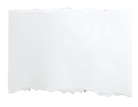 A clean sheet of blank paper features rough torn edges, ready for your creative content.