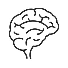 Brain line icon. Vector illustration