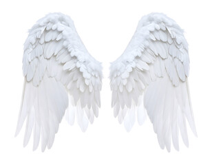 A magnificent pair of pure white feathered wings elegantly displayed, embodying grace and spiritual essence.