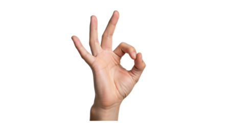Isolated Hand Gesture: OK Sign