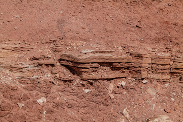 Toadstool Hoodoos Trail, Kane County, Utah geology. Entrada Sandstone with Carmel Formation, upper unit (Middle Jurassic). slope-forming and earthy-weathering. Sedimentary rocks.