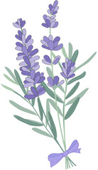 lavender flower bunch