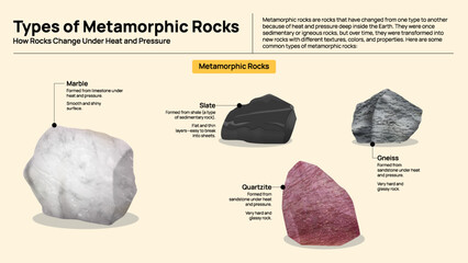 Types of Metamorphic Rocks Infographic - Heat and Pressure Transformed Rock Types