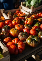 A rustic editorial food photograph showing a rich variety of heirloom tomatoes in vivid red, orange, and deep purple hues arranged on a wooden market table, with surrounding crates of vegetable.