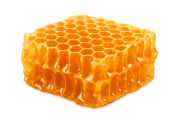 Honeycomb dripping with golden honey on transparent background