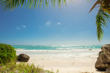 Discover a stunning Tropical Beach Paradise with Clear Blue Water and radiant Sunlight