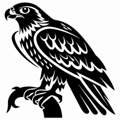 Obraz premium Majestic Falcon Bird of Prey Illustration