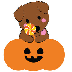 Cute Dog Halloween Costumes and Spooky Fun