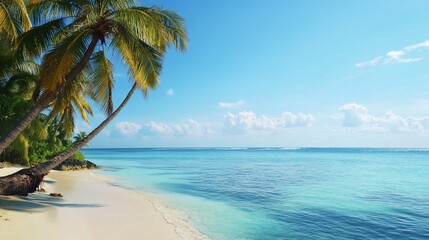 tropical beach with palm trees