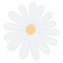 White chamomile. Wild flower with petals around the core. Color vector illustration. Isolated on white background. Flat style. Idea for web design.