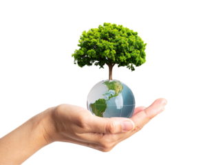  Hand Holding Mini Earth Model with Lush Green Tree, Sustainability Concept, Isolated PNG