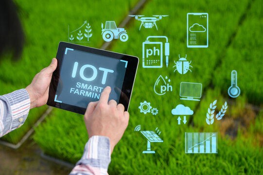 A person uses a tablet showcasing IoT smart farming technology with digital icons representing farming tools and data analytics over a green field background.
