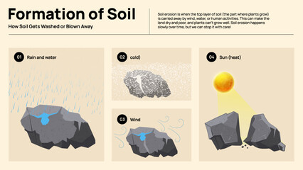 Soil Formation Infographic - Natural Processes Behind Soil Development