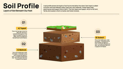 Soil Profile Infographic - Understanding the Vertical Layers of Soil
