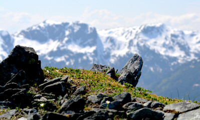 photo of rocks in the mountains with snowy mountains in the background