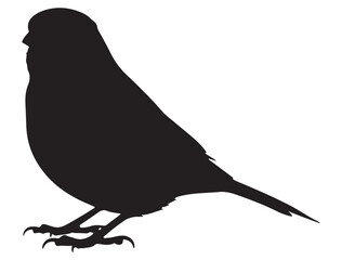 CANARY BIRD SILHOUETTE
