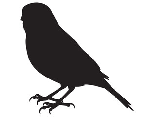 CANARY BIRD SILHOUETTE