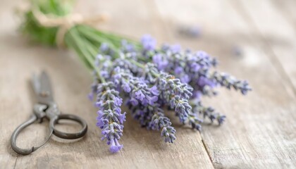 Fresh Lavender Bouquet with Scissors on Rustic Wooden Table