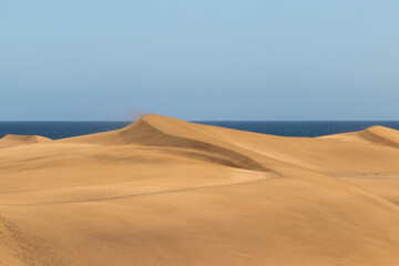 Sand dune in Maspalomas Gran Canaria