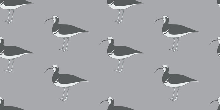Parakeet auklet bird Cute Seamless Wallpaper Background.Grey bird background.