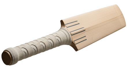 Isolated Cricket Bat