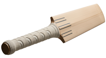 Isolated Cricket Bat