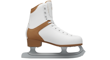 Isolated Ice Skate