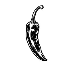 Single Chili Pepper Illustration in Rustic Black and White Sketch Style