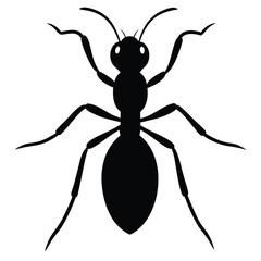 Black Ant Silhouette: Simple, Bold, Vector Illustration, Pest Control Graphic