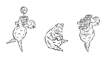 A set of contour lamps of Alpack for scientists, lessons, education.