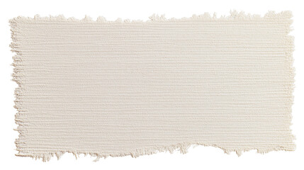 piece of torn paper with textured surface isolated on white background