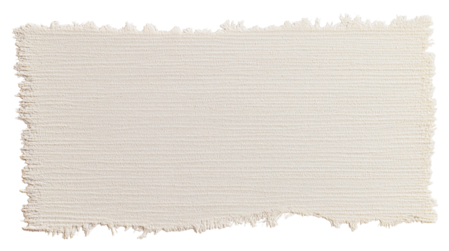 piece of torn paper with textured surface isolated on white background