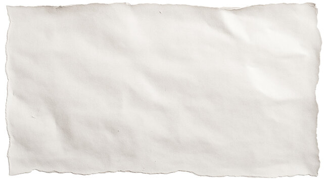 rough white paper texture with ripped edge and wrinkles isolated on white background