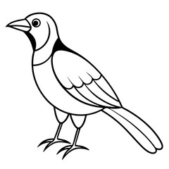 Obraz premium Handdrawn Bird Crayon Doodle Icon for Kids Summer, School, and Playful Vector