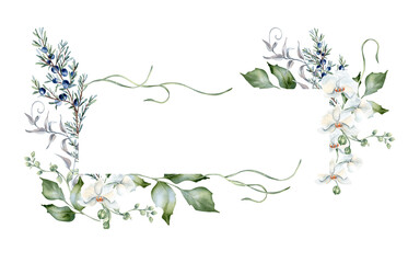 Watercolor frame with white orchid flowers and winter greenery isolated. Juniper sprigs, holly leaves, and blooms hand painted botanical banner for festive stationery and cold season branding.
