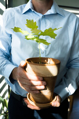 Growth in business, ecology and business, a man holding a pot with a young oak seedling.

