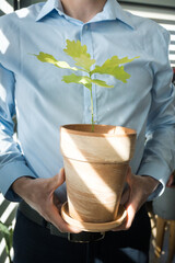 Growth in business, ecology and business, a man holding a pot with a young oak seedling.
