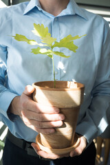 Growth in business, ecology and business, a man holding a pot with a young oak seedling.
