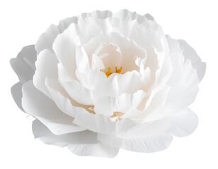  Handmade Crepe Paper Peony Bloom, Isolated on Transparent Background PNG