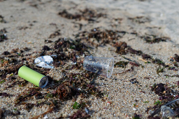 Plastic and metal garbage polluting sandy beach with seaweed
