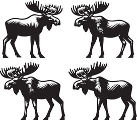 Moose Vector In Black and White