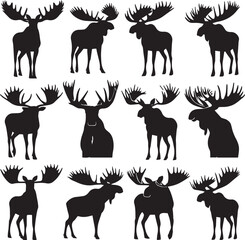 Moose Vector In Black and White